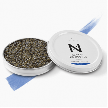 Caviar beluga signature