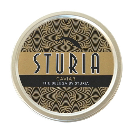 The Beluga by Sturia