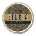 Caviar The Beluga by Sturia